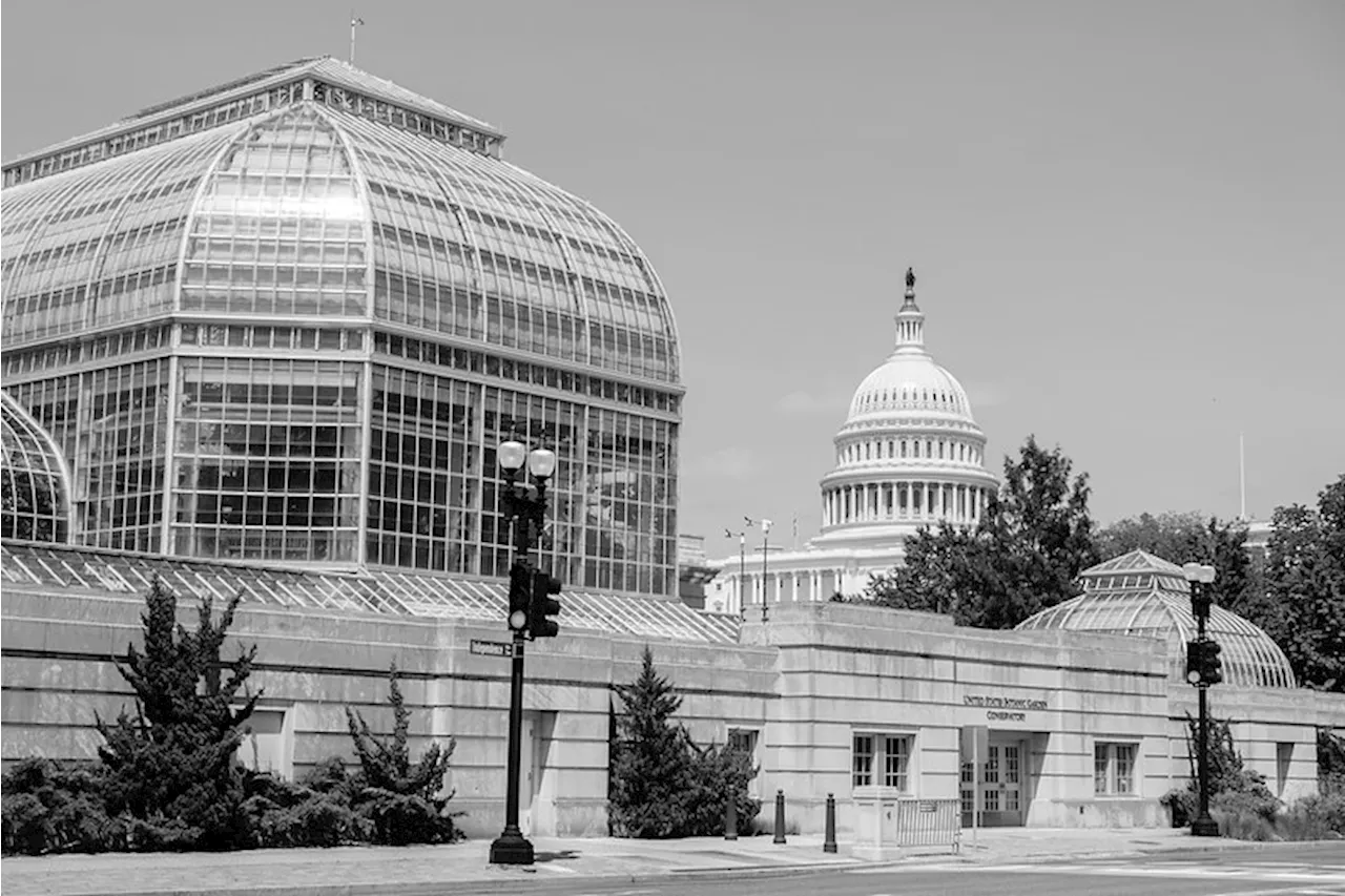 “U.S. Botanic Garden Shifts Open Hours to 11-6 for July, August 2024”