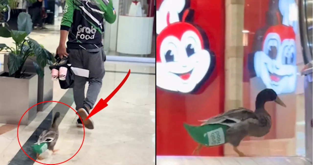 Hardworking Duck In Grab Diapers Spotted Following GrabFood Delivery Guy To Work