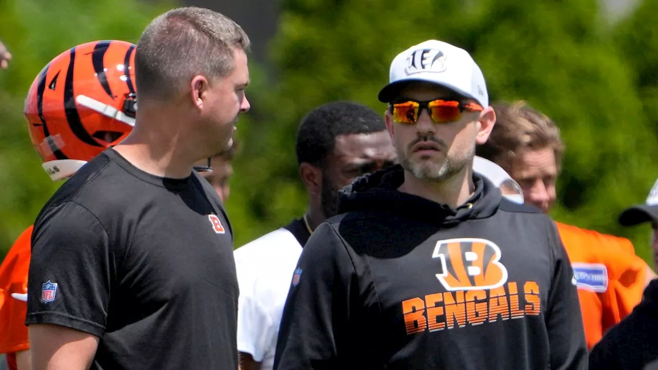 PFF Tabs Cincinnati Bengals Dan Pitcher as 'Headlining' New NFL Coordinator