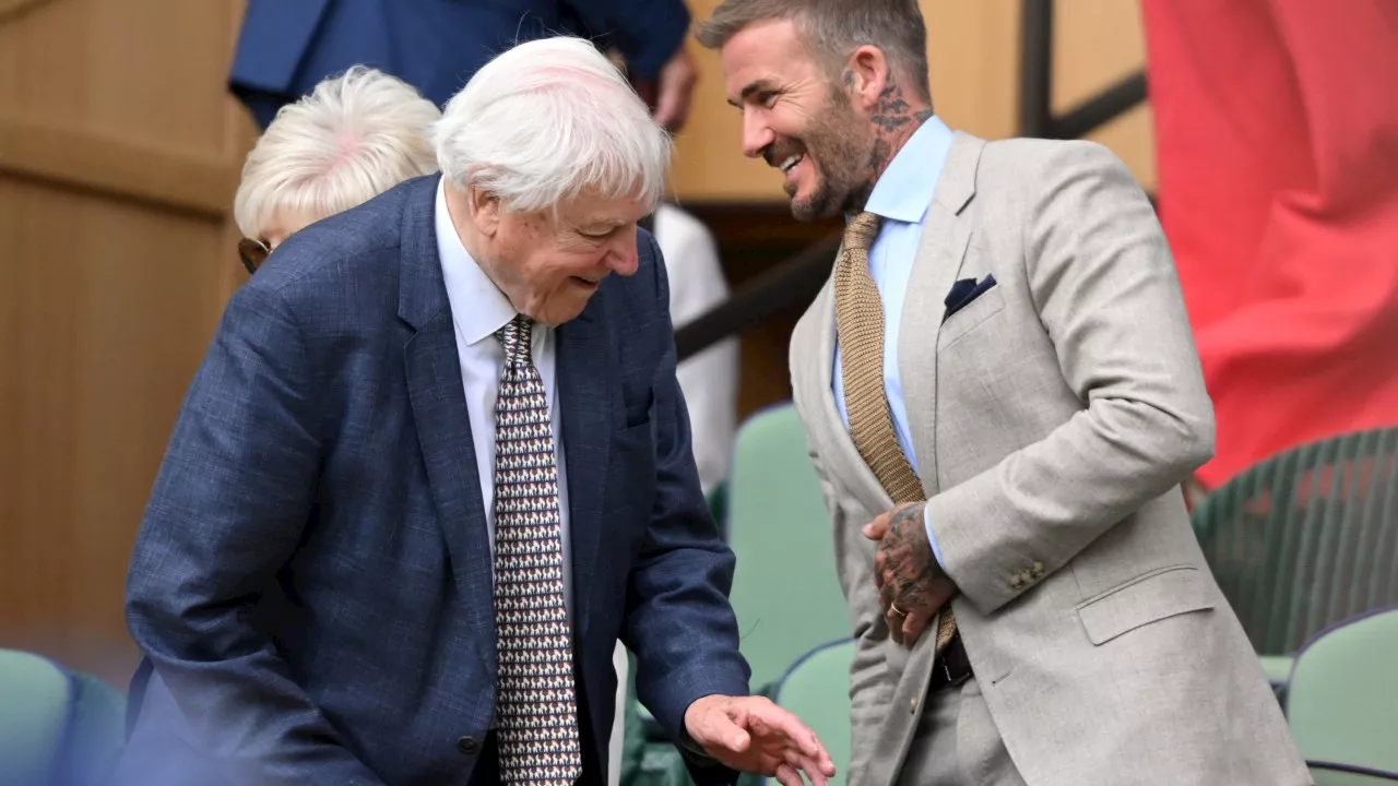 David Beckham receives Royal Box honour from King Charles amid Sussex feud