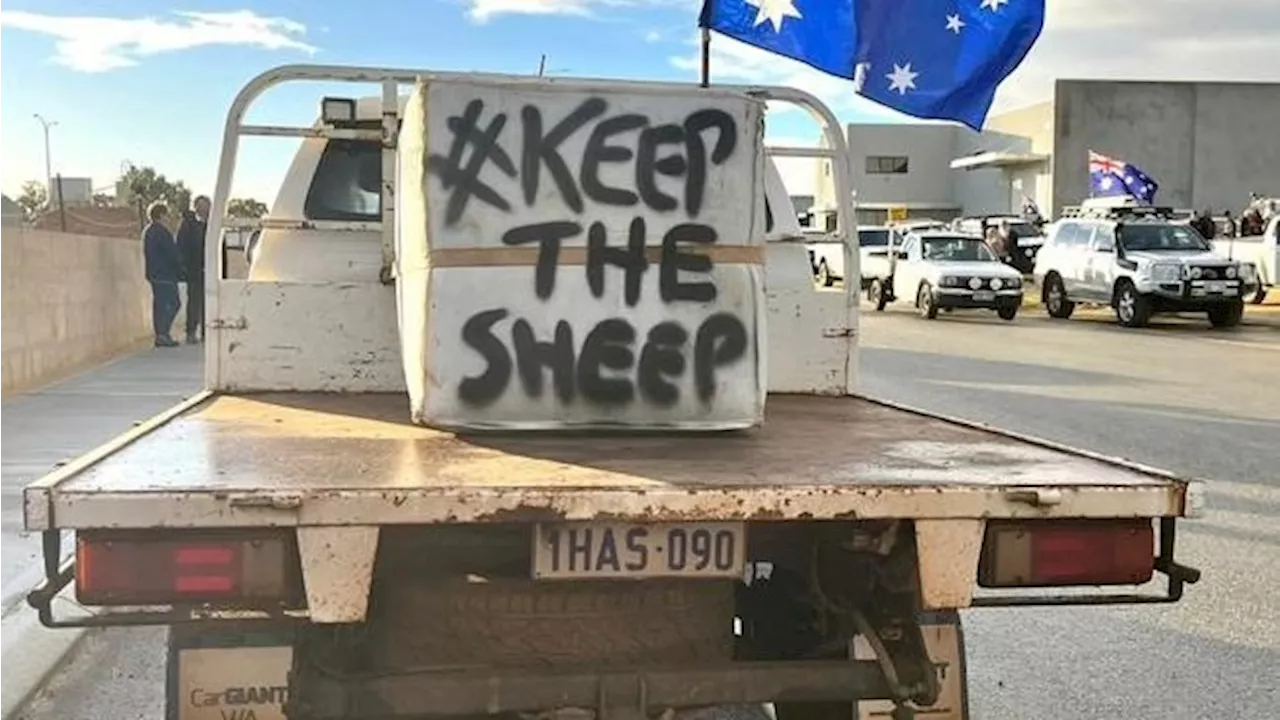 ‘This isn’t the end’: Protest leader’s warning to Labor over live sheep export ban