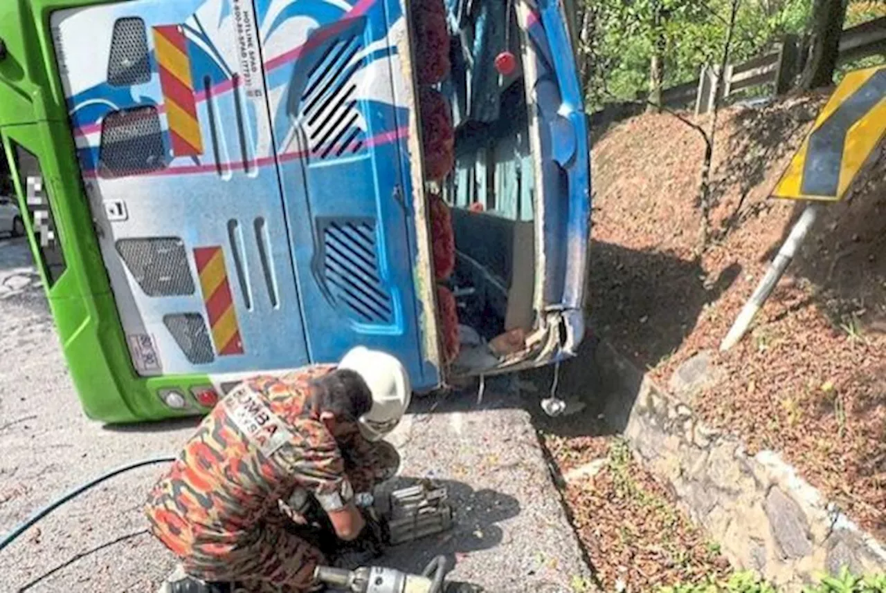 ‘Crashed bus had expired permit’