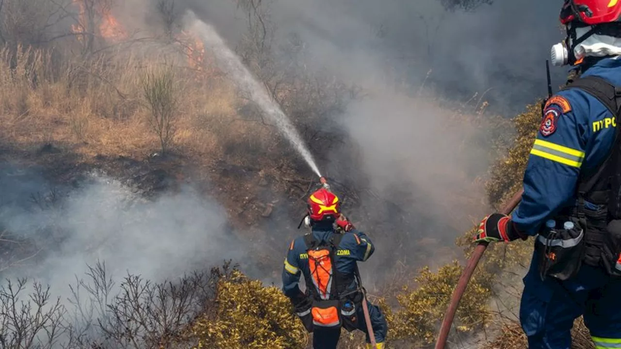 Feuer: Mehrere Großbrände wüten in Griechenland