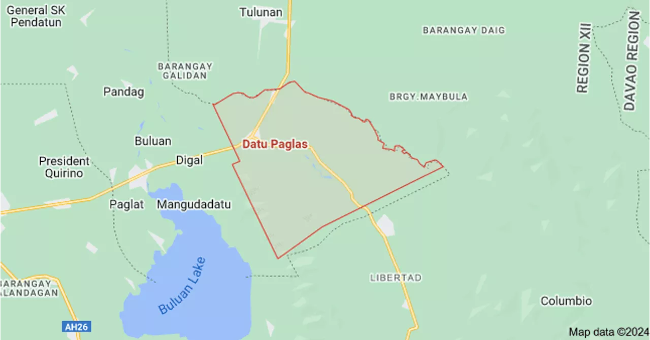 Maguindanao del Sur officials surrender firearms