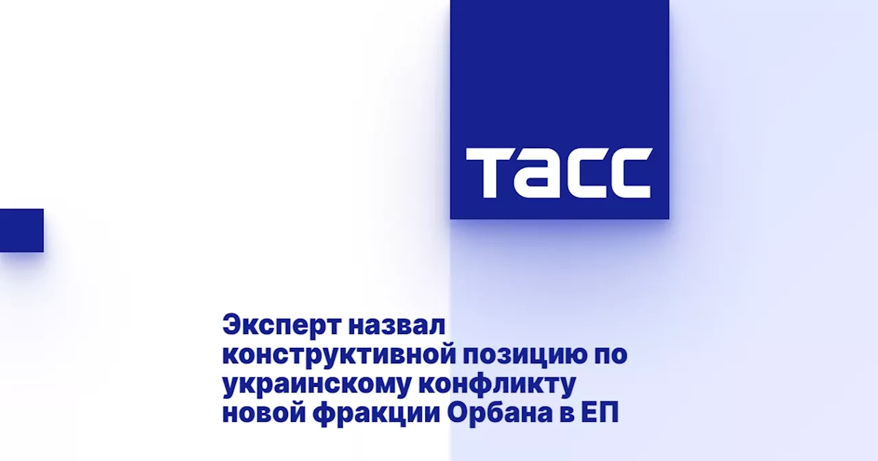 Эксперт назвал конструктивной позицию по украинскому конфликту новой фракции Орбана в ЕП