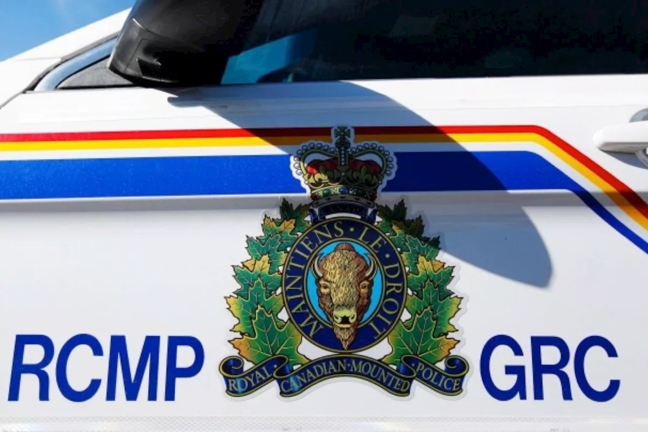 Man shot at after B.C. road rage incident, RCMP looking for witnesses