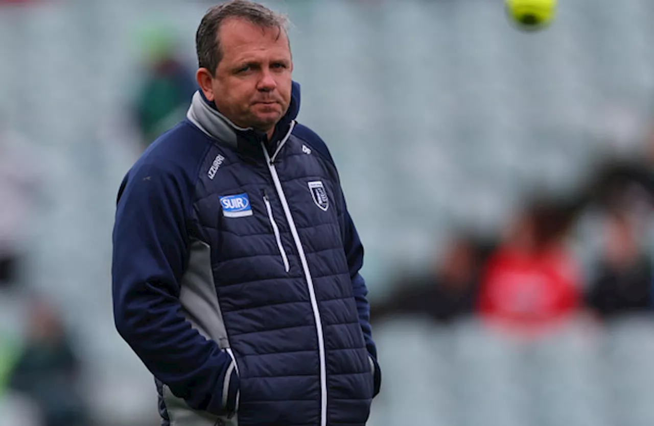 Davy Fitzgerald steps down as Waterford hurling manager