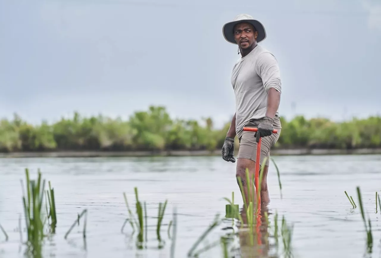 'Captain America' star Anthony Mackie's own super power is swimming with sharks