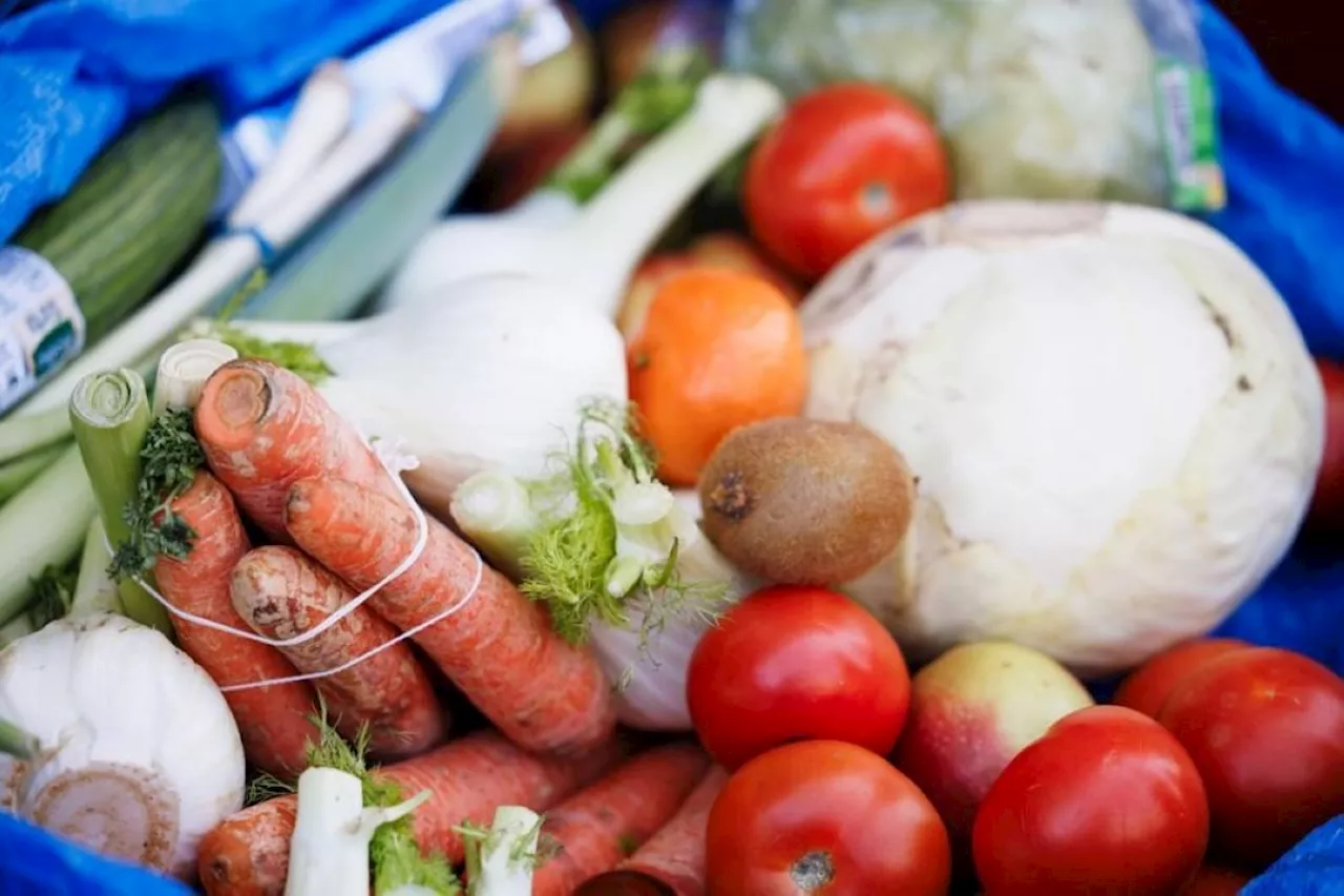 'Halving food waste can lessen hunger for millions'