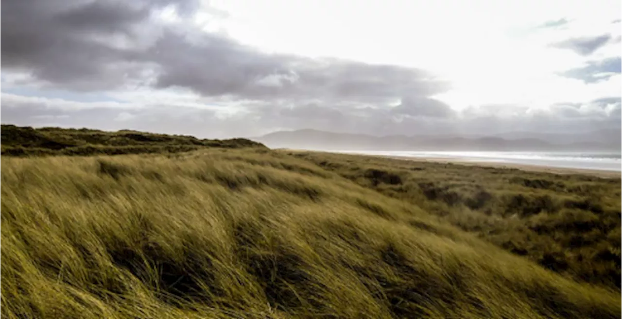 33 Degrees In Ireland A One-In-Nine Year Event