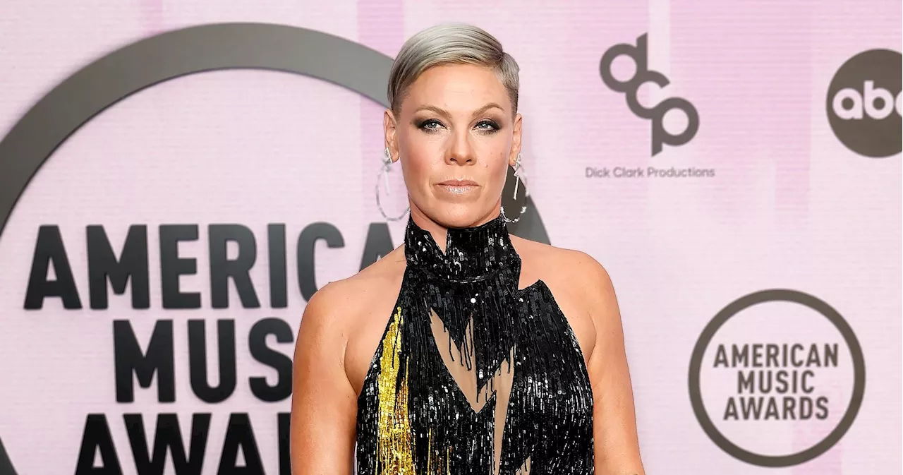 Pink Apologizes for Abruptly Canceling Concert: 'Unable to Continue'