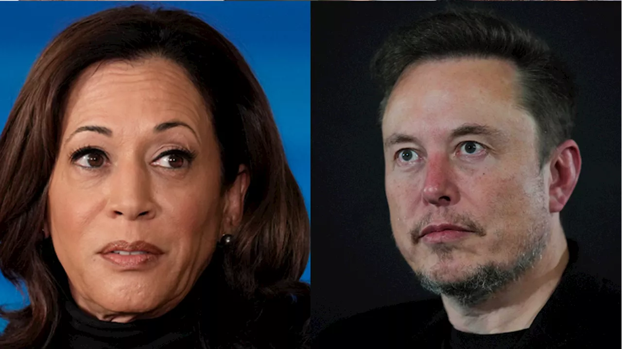 Elon Musk rips VP Harris for 'lying' about Trump's abortion stance: 'Doesn't work anymore'