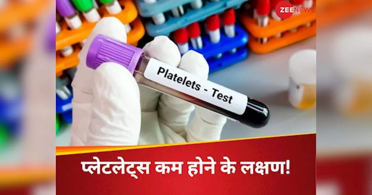 बॉडी में प्लेटलेट्स कितना होना चाहिए? Low Platelet Count के 5 लक्षण, तुरंत इन 10 चीजों को खाना कर दें बंद