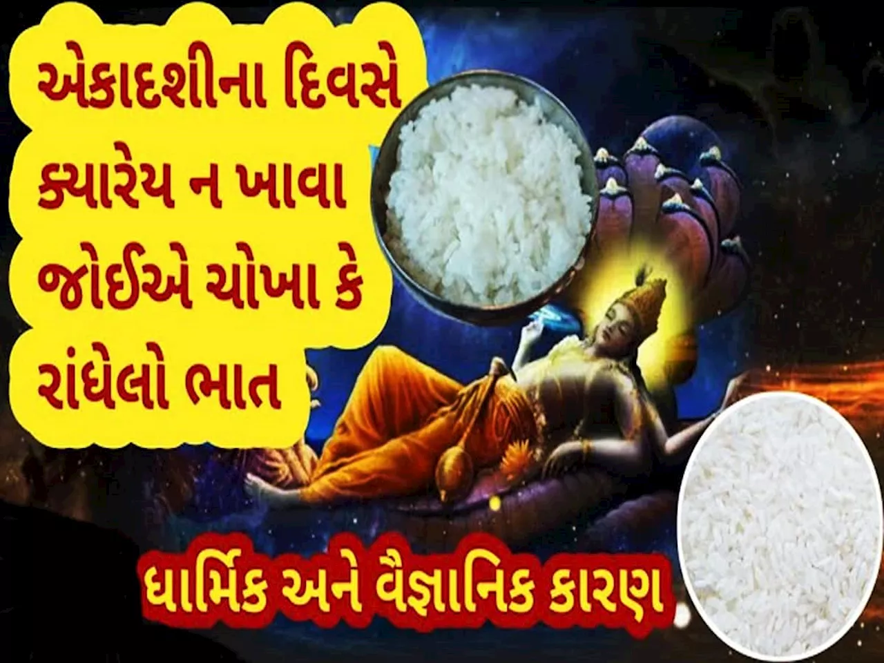 શું શાસ્ત્રોમાં ચોખા ગણાય છે માંસાહાર? ચોખામાં કોનો જીવ હોય છે? જાણો કેમ એકાદશી પર નથી ખાવામાં આવતા ચોખા