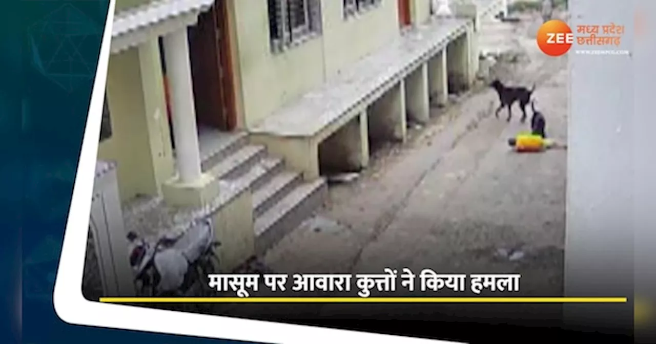 Dhar Video: आवारा कुत्तों ने बच्चे को दौड़ाकर किया हमला, CCTV में दिखा खौफनाक मंजर