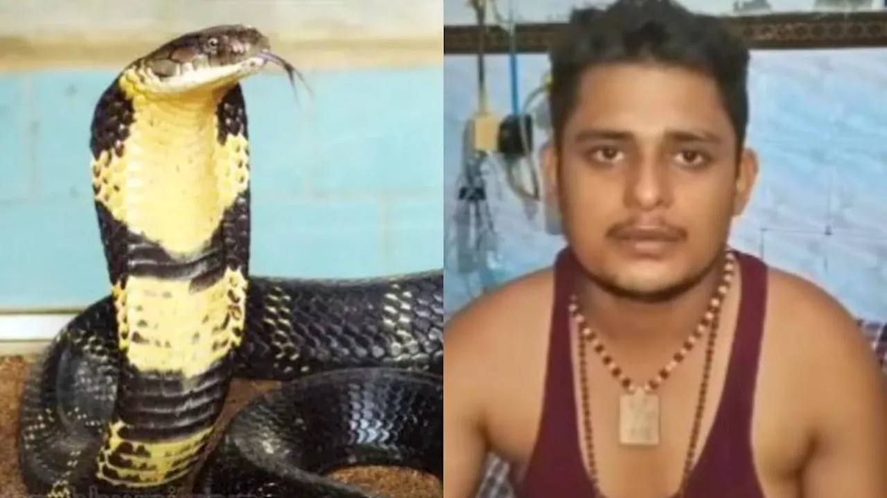 Snake bite: ఇదేం విడ్డూరం.. నెల వ్యవధిలో 5 సార్లు కాటేసిన పాము.. స్టోరీ తెలిస్తే షాక్ అవుతారు..