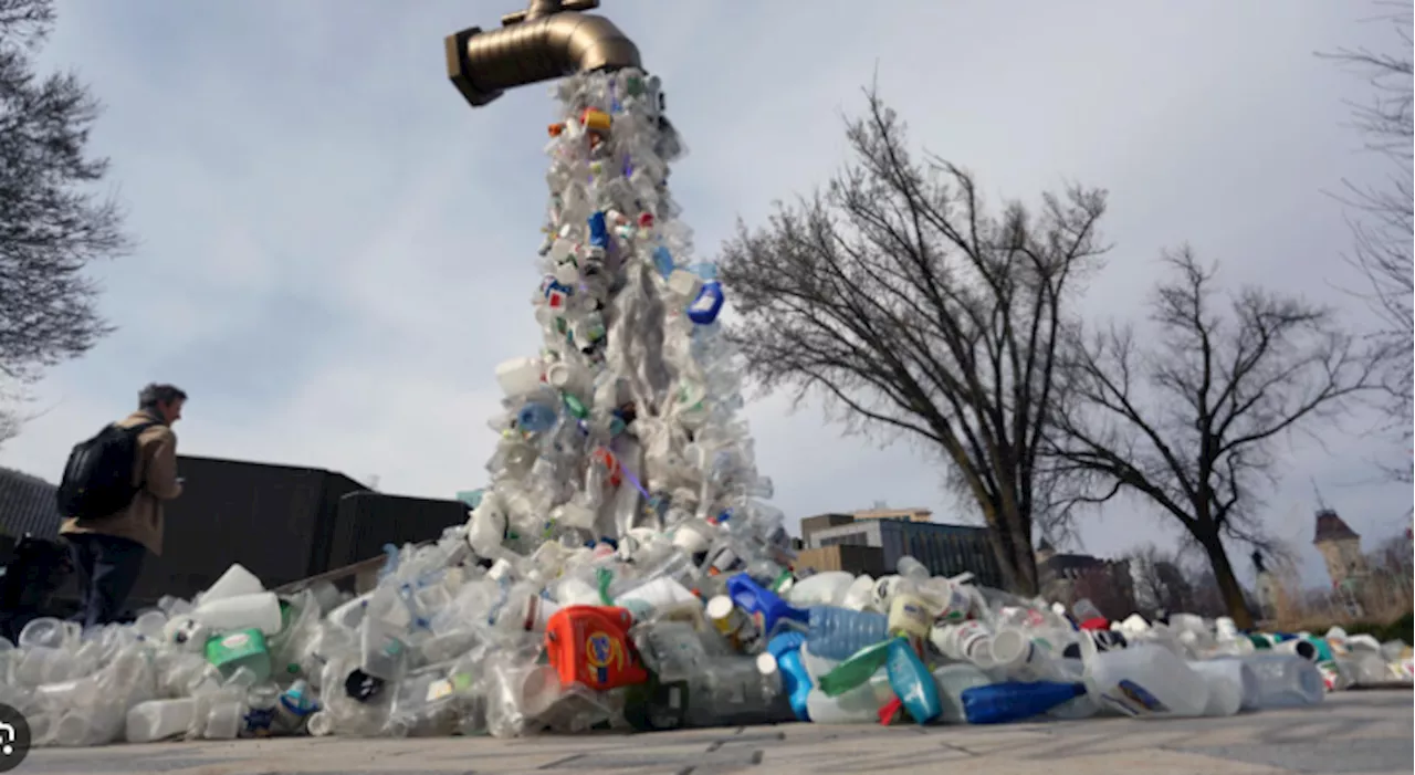 US govt to phase out purchase of single-use plastics