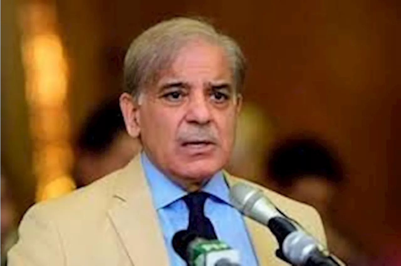 Shifting of Chinese industries to Pakistan will improve economy: PM
