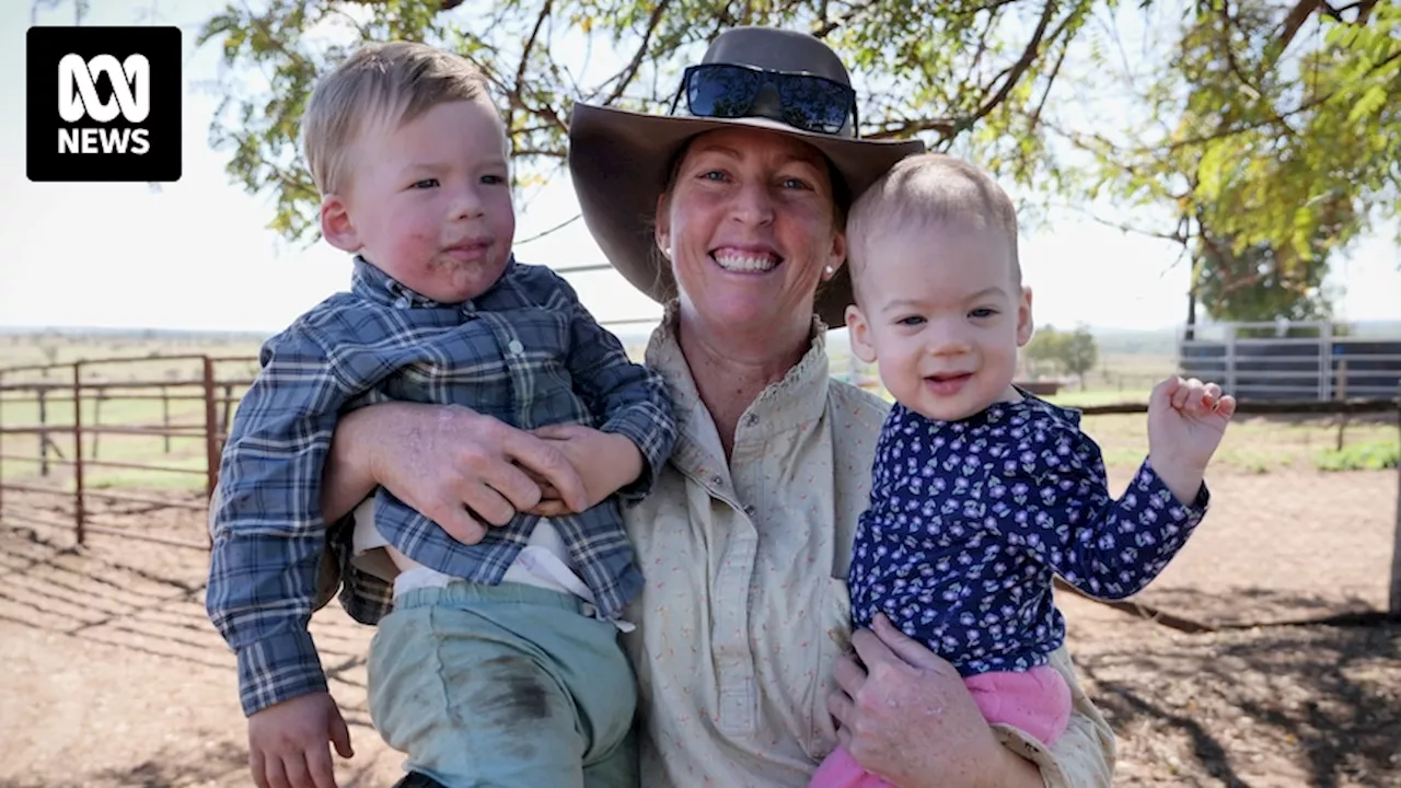 Single parent cattle grazier's IVF journey with donor eggs and sperm