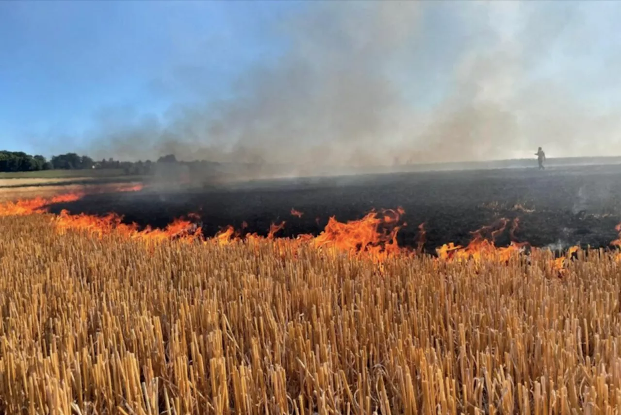 Val-d'Oise : un incendie ravage 10 hectares de chaume | La Gazette du Val d'Oise