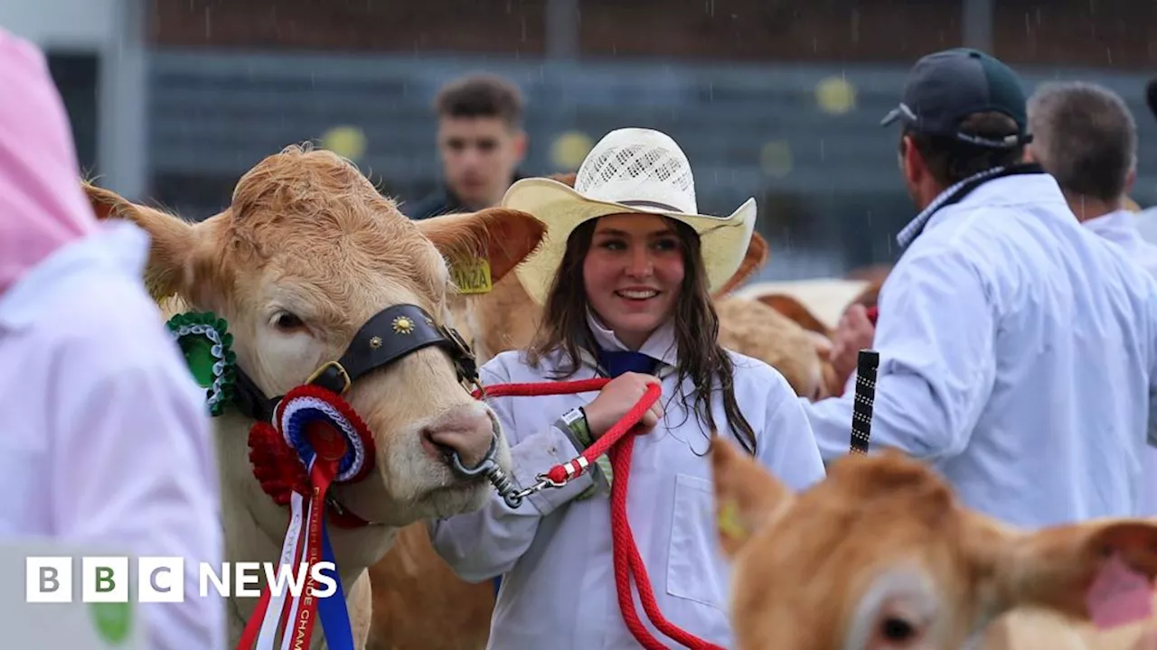 The Royal Welsh Show 2024: Everything you need to know