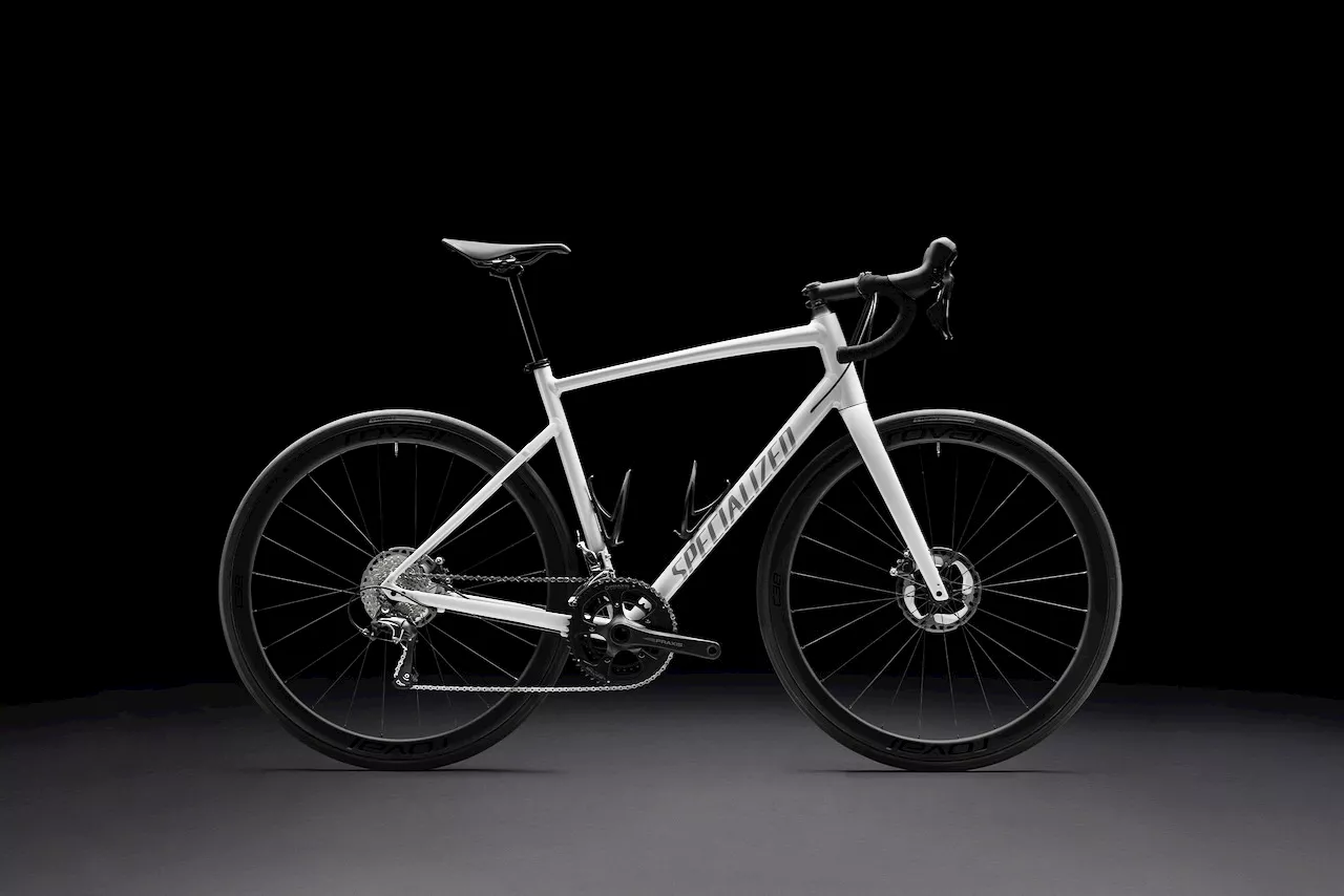 Specialized Allez Update Redefines Entry-Level Alloy Road Bike