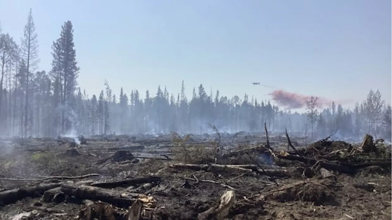 Nearly 1,100 Albertans forced from homes as extreme heat fuels wildfires