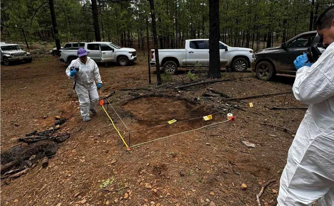 Encuentran más de 700 fragmentos óseos en el ejido 'El Dos” en Madera, Chihuahua