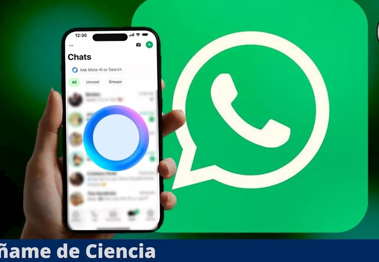 ¿Qué significa el círculo azul que aparece en WhatsApp y para qué funciona?