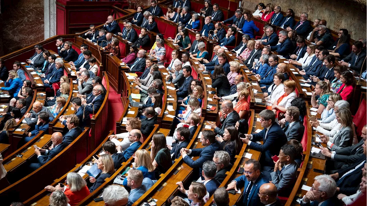 Nouvelle Assemblée nationale : quels sont les avantages à se déclarer comme groupe d'opposition ?