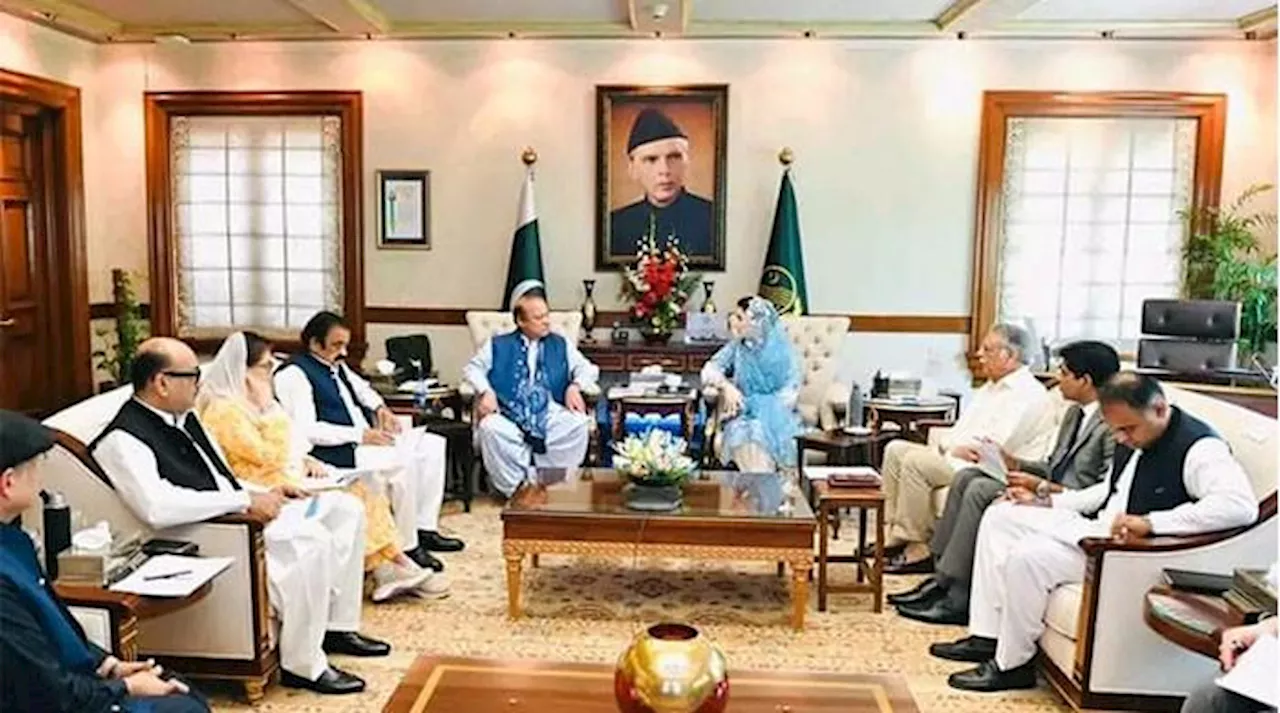 وزیراعلیٰ پنجاب کا مفت سولر اسکیم کو آسان بنانےکا حکم