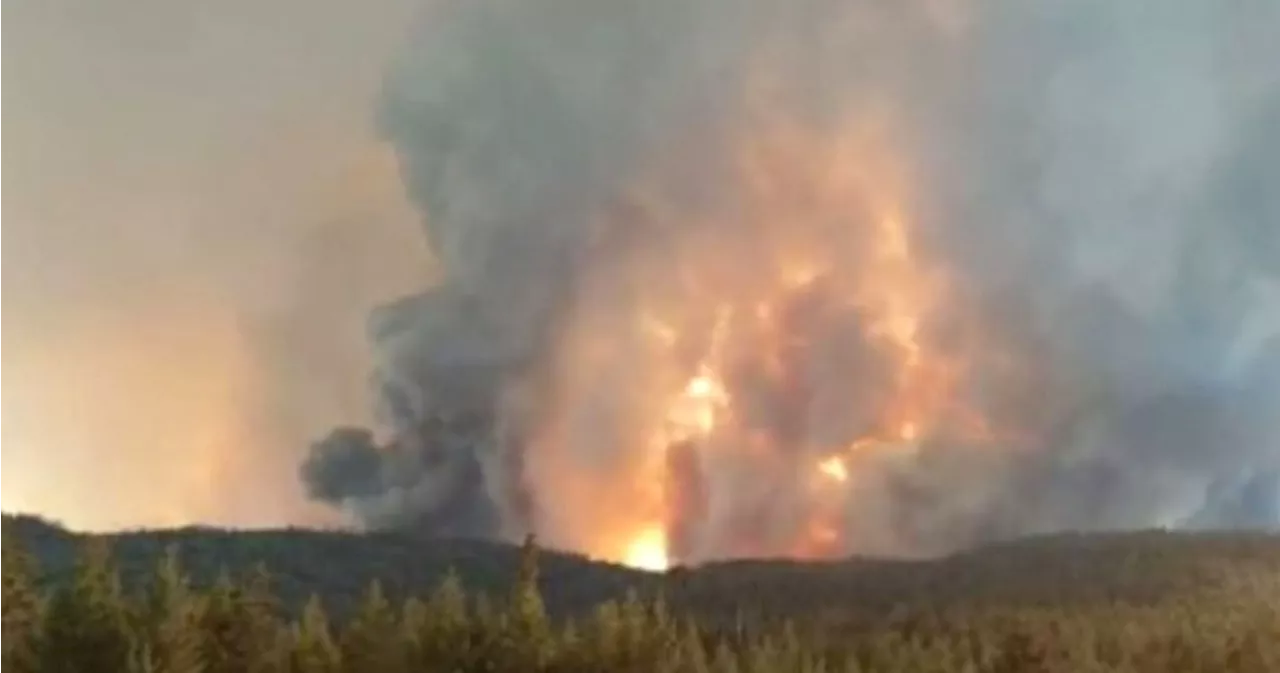 B.C. wildfire: Structures consumed by Shetland Creek blaze near Ashcroft