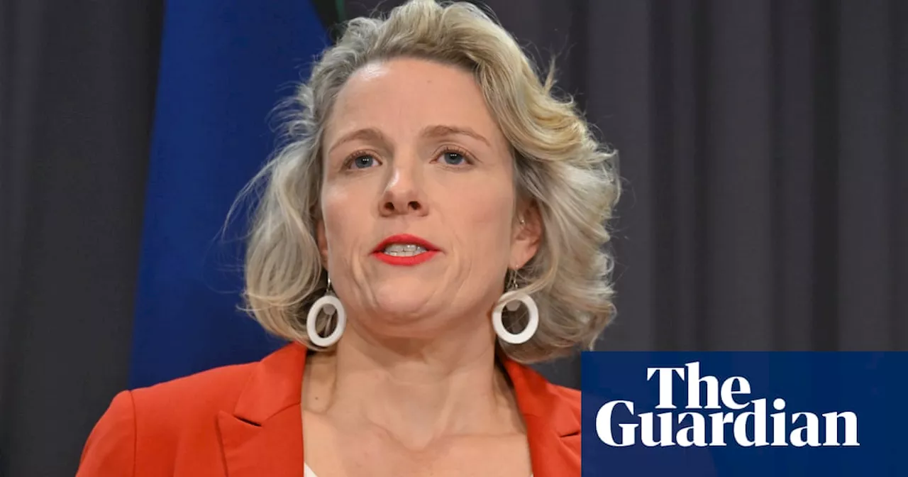 Bad actors seizing on Microsoft IT outage to scam public, Clare O’Neil warns