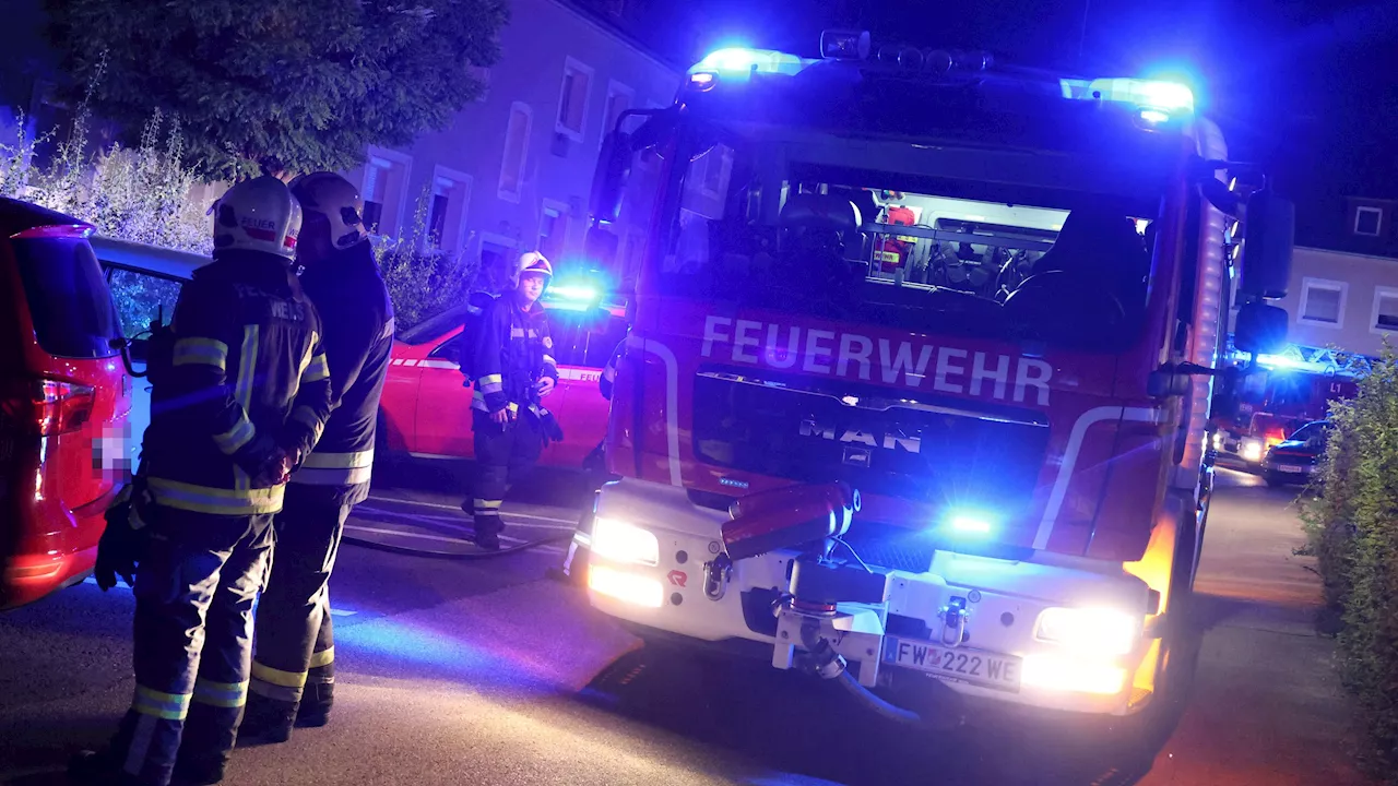 Kratzbaum in Flammen – Frau liegt im Krankenhaus