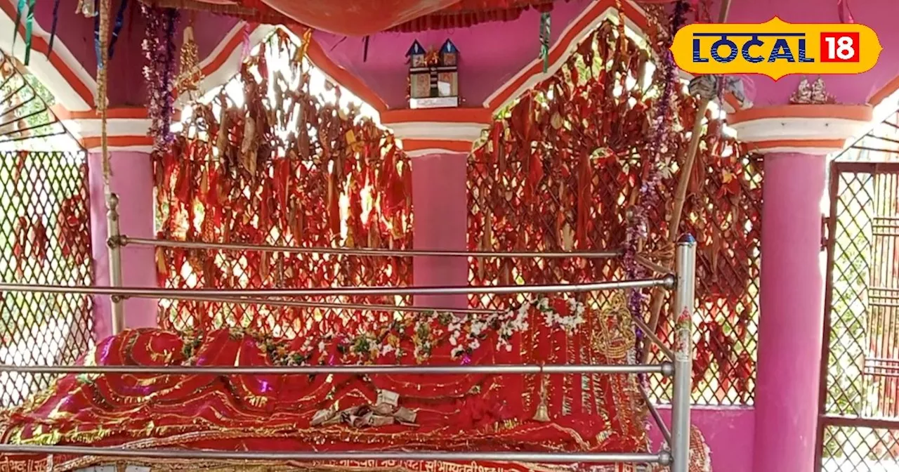 अंधविश्वास या चमत्कार? पुजारी का दावा- यहां मिनटों में उतर जाता है सांप का जहर