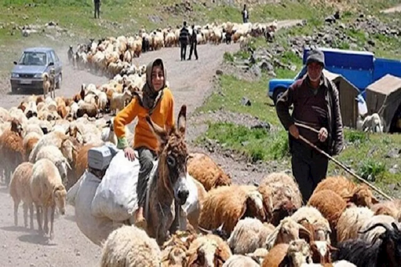 ایل‌راه عشایری کیارس گتوند بهسازی می‌شود