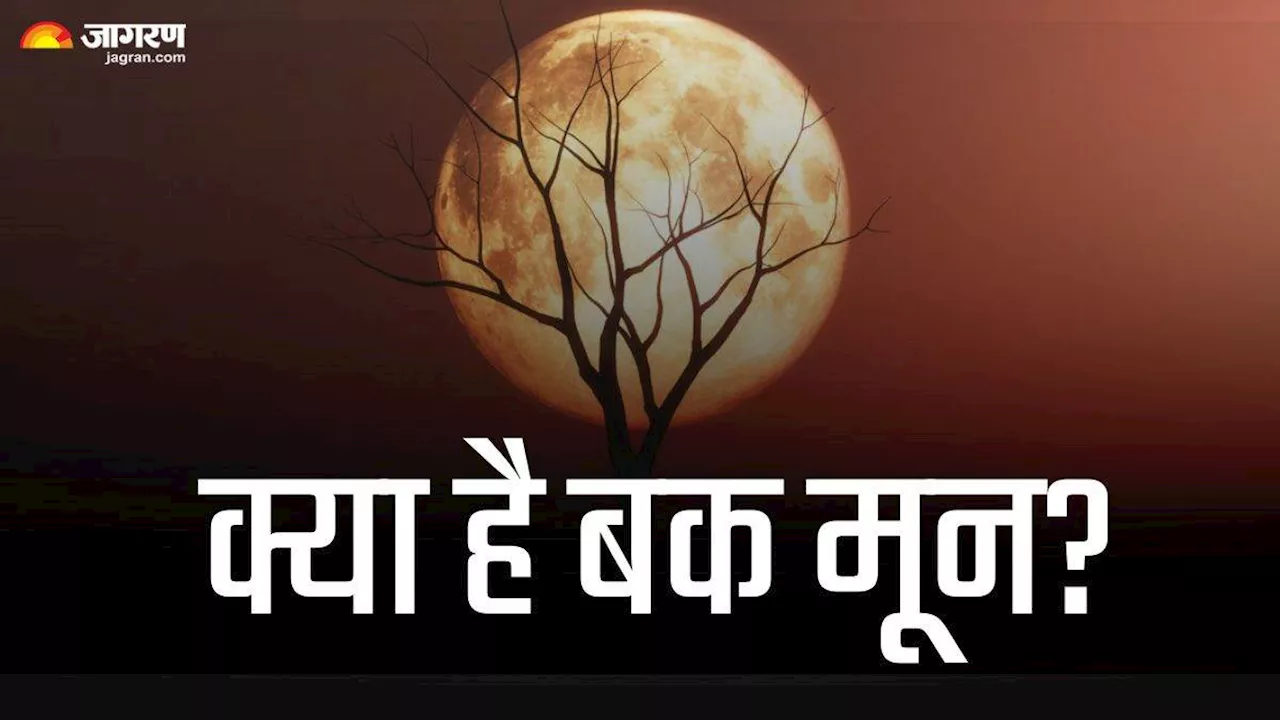 जुलाई में इस दिन मनाया जाएगा Buck Moon, इन वजहों से खास है इस महीने की पूर्णिमा