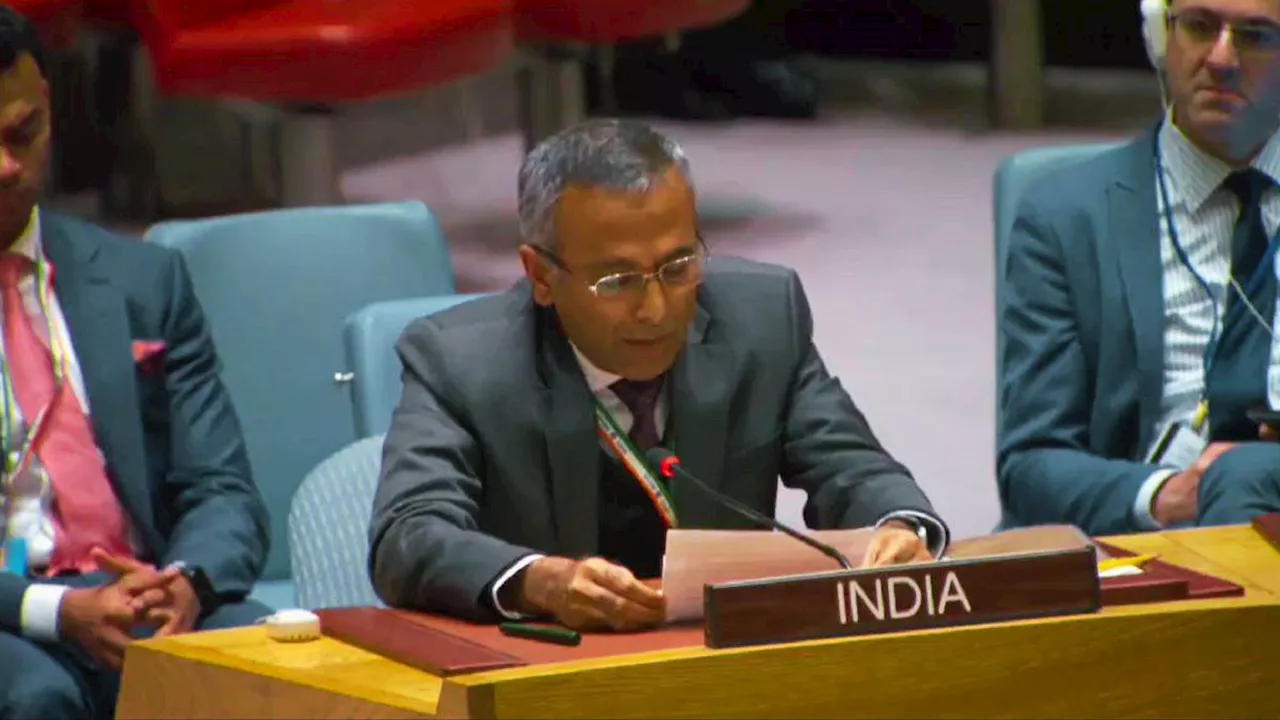 भारत ने बिना नाम लिए पाकिस्तान पर साधा निशाना, UNSC में कहा- आतंक को राष्ट्र नीति बनाने वालों का हो त्याग