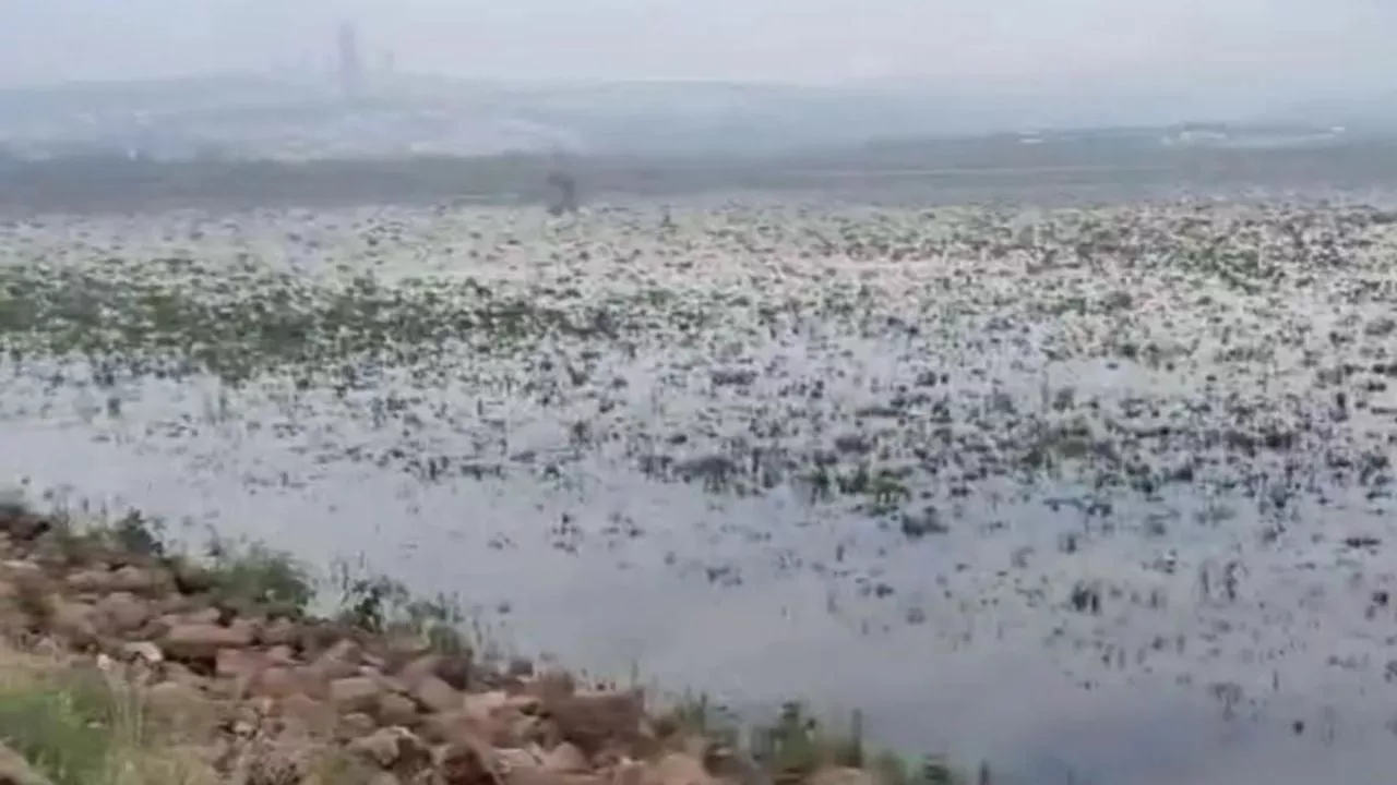 Clima en Guanajuato: siguen las lluvias muy fuertes este 20 de julio