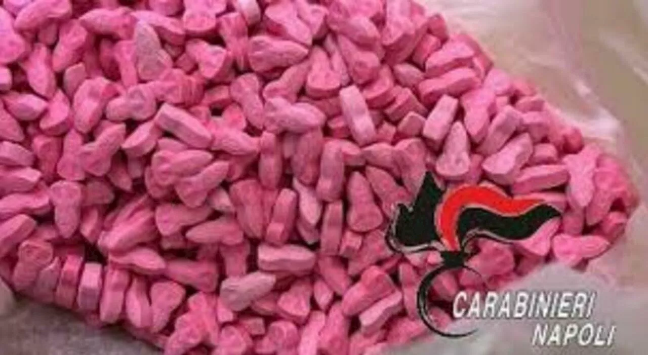 Cocaina rosa, cane antidroga sventa la diffusione nel carcere: cos'è l'A-Iron, perché ha quel colore e di che