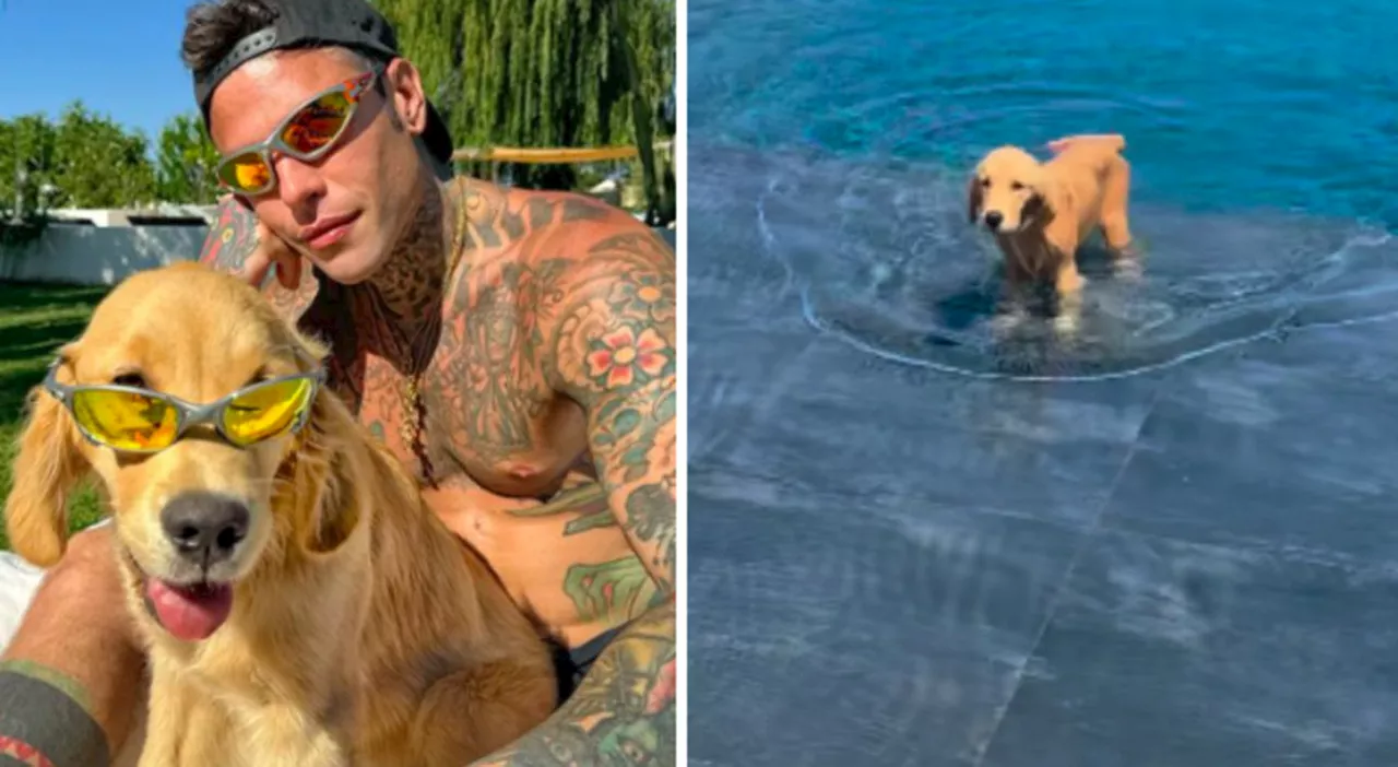 Fedez in Sardegna con Silvio: la morning routine del cucciolo è tutta da ridere