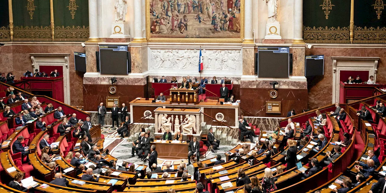 Assemblée nationale : ces néodéputés plongés dans le grand bain