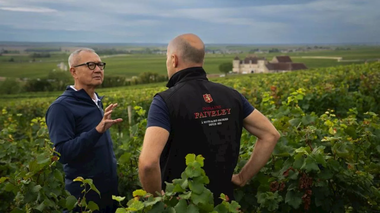 Vins et champagnes : comment Sotheby's disperse l'extraordinaire collection de Pierre Chen