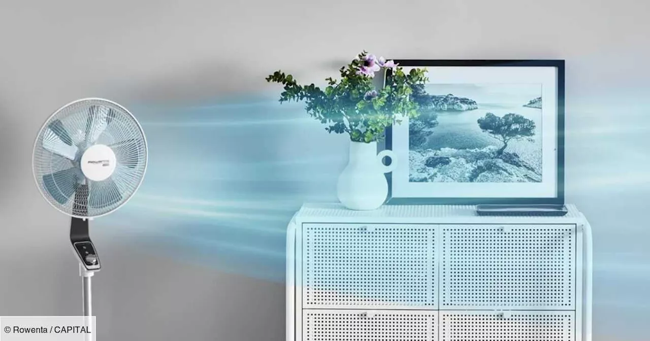 Amazon : la montée des températures fait chuter le prix de ce ventilateur Rowenta de 31%