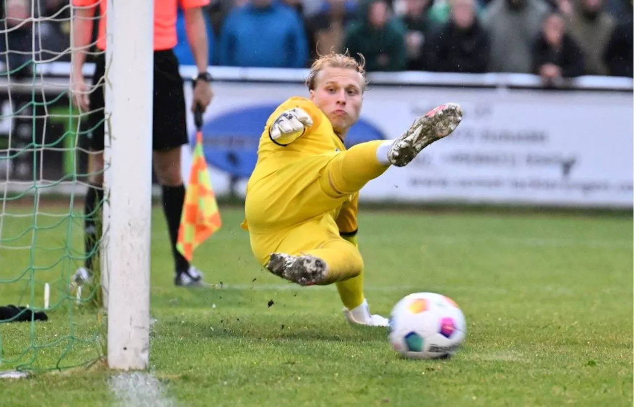 Ex-Jahn-Keeper zu Dynamo Dresden: Phillip Böhm wird dritter Torhüter