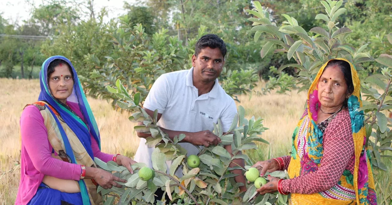 दलित किसान ने दिखाई राह: किसान संकट को दूर करने के लिए स्थानीय संसाधनों का किया बेहतर उपयोग