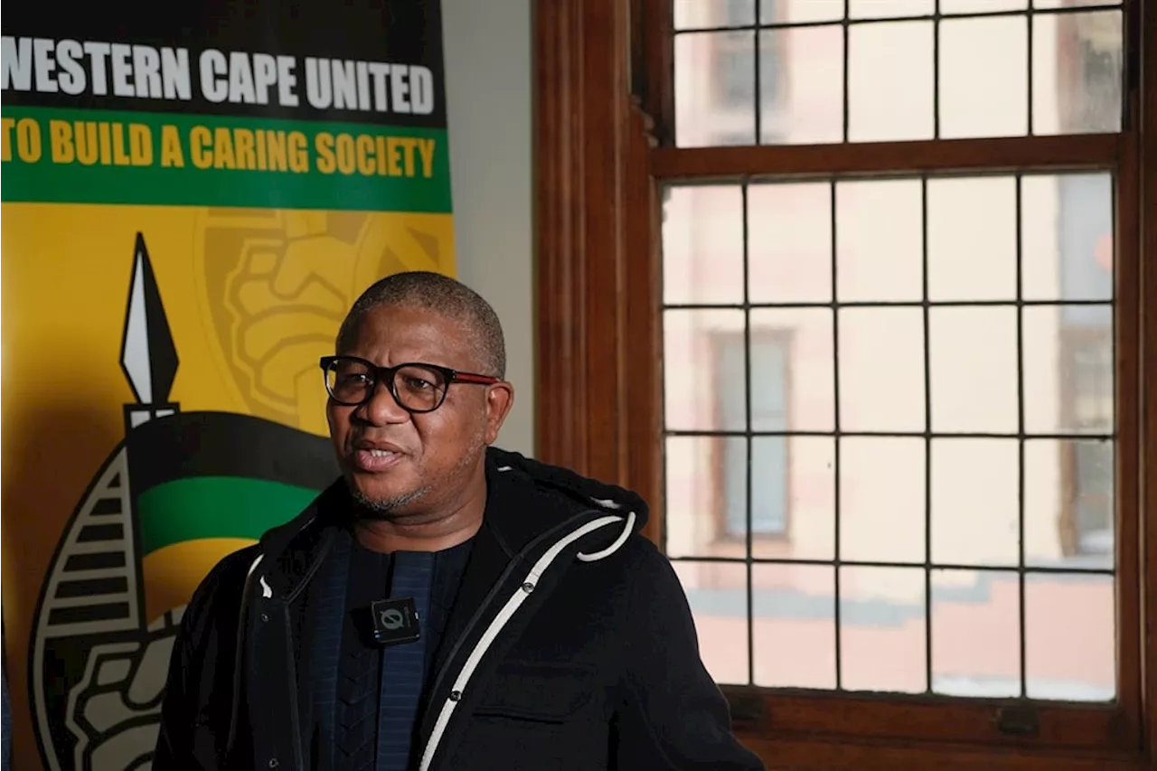 MKP, EFF's 'sell-out' narrative is 'opportunistic', says Fikile Mbalula