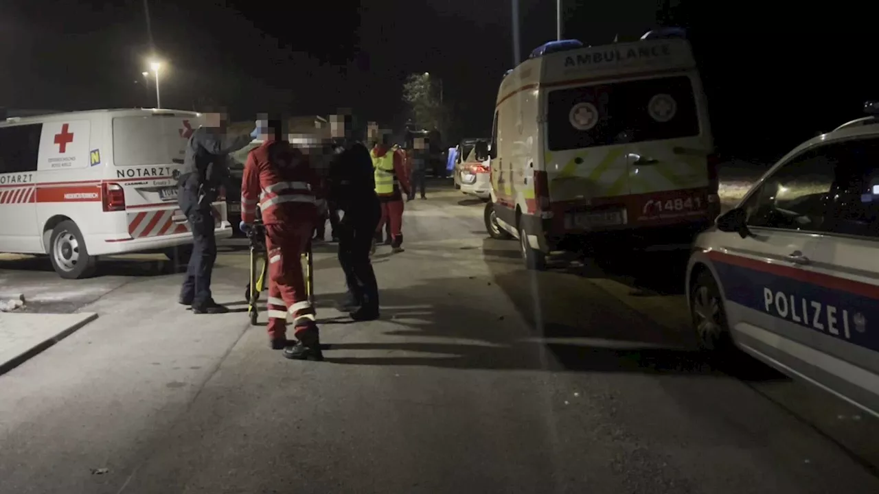 Bestialische Bluttat in Traismauer: 17 Jahre Haft für Messerstecher