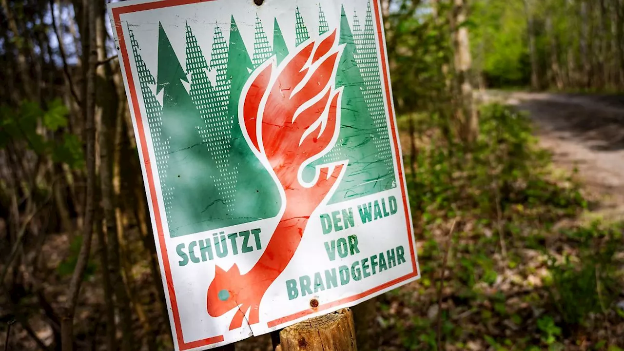 Berlin & Brandenburg: Waldbrandgefahr in Brandenburg steigt zunächst