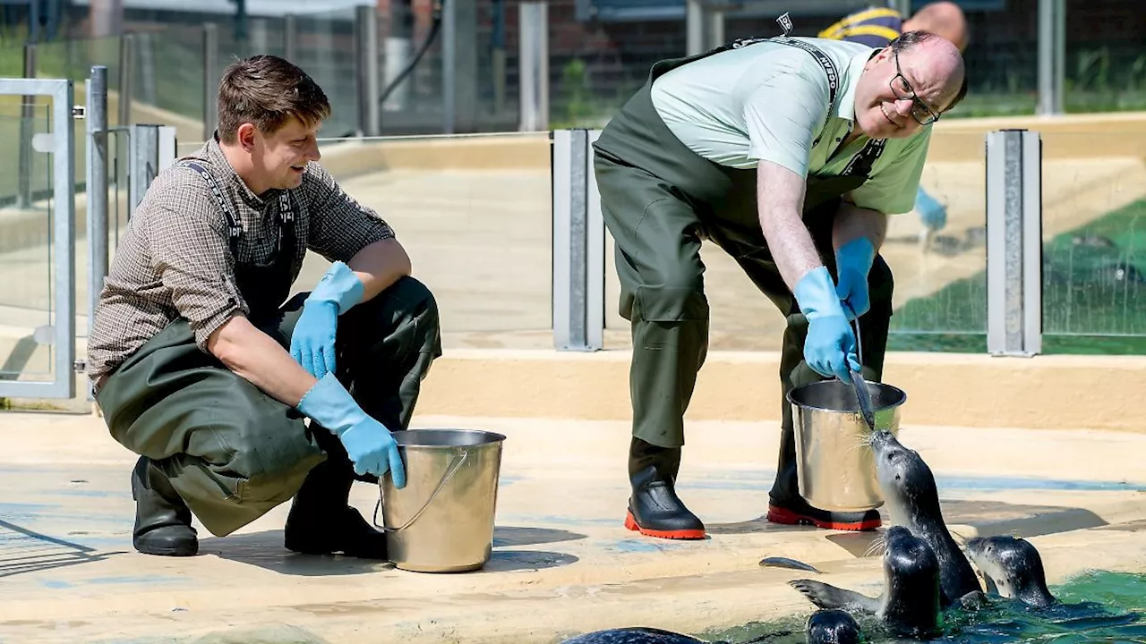 Niedersachsen & Bremen: Umweltminister Meyer besucht Seehundstation